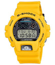 G-Shock DW6900TR-9